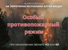 В связи с наступлением пожароопасного периода на всей территории Республики Алтай установлен особый противопожарный режим